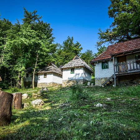 Camp Divlja Rijeka Hotel Hum Bagian luar foto