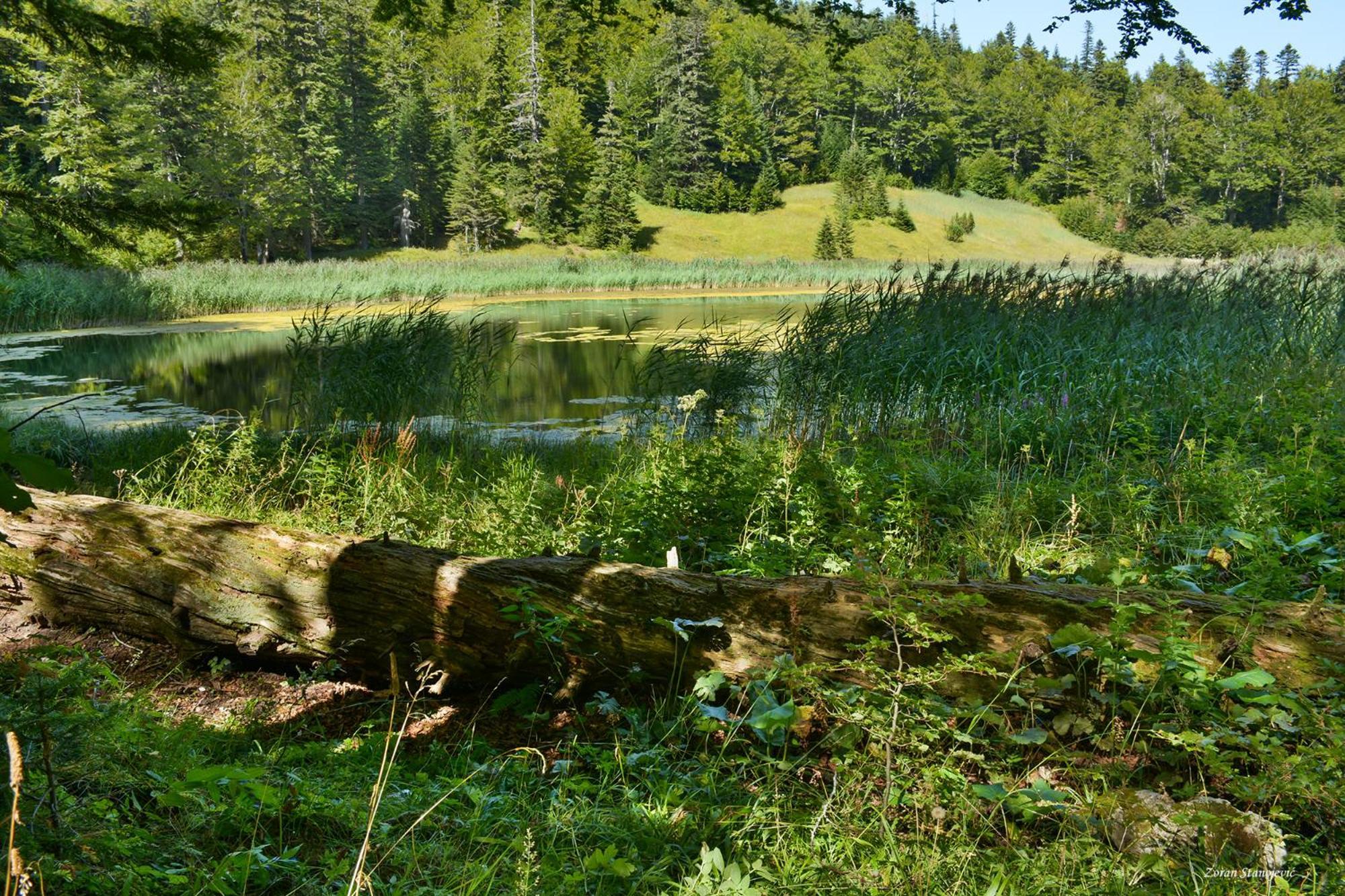 Camp Divlja Rijeka Hotel Hum Bagian luar foto