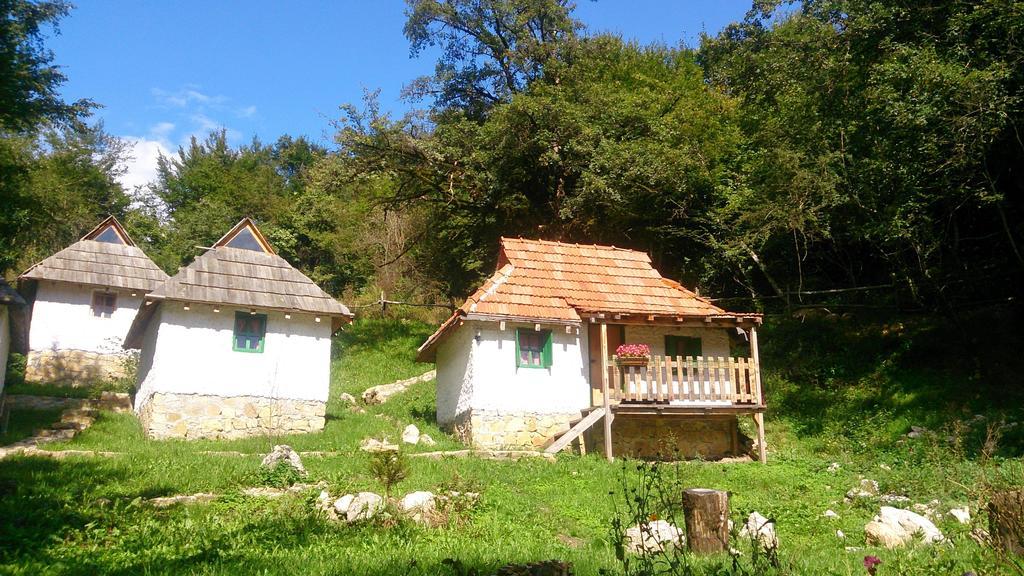 Camp Divlja Rijeka Hotel Hum Bagian luar foto