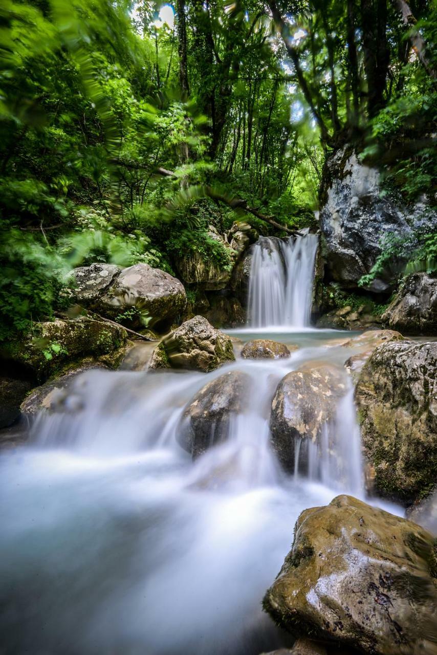 Camp Divlja Rijeka Hotel Hum Bagian luar foto